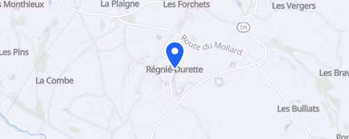 Trail Des 2 Clochers - Regnie Durette