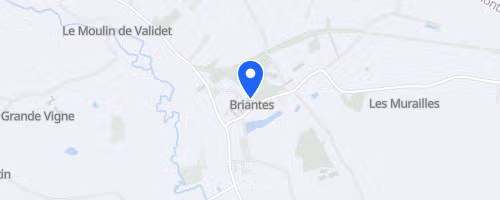 Foulées de Briantes