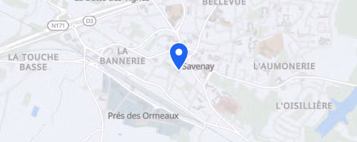 Les foulées du sillon de Bretagne - Savenay