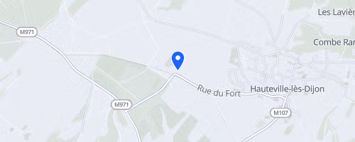 LA DIJONCTÉE