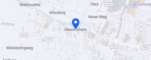 Les onze km d'Obernai