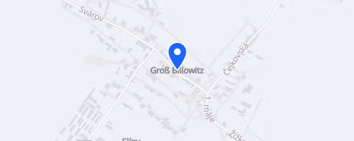 Olympijský běh - Velké Bílovice