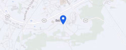 Foulées belleusiennes