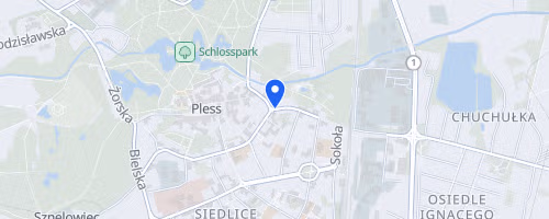Nocny Bieg po Pszczynie