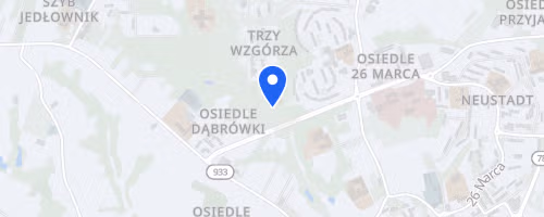 Wodzislawski Duathlon