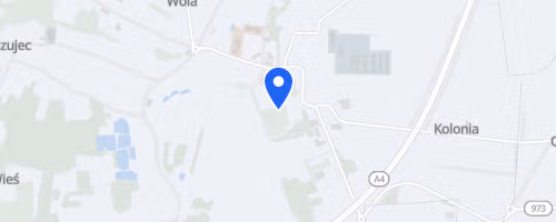 Wierzchosławickie Leśne Biegi