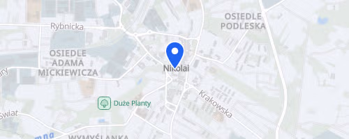 Mikolowski Bieg Uliczny im Henryka Biskupiaka