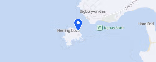 The Burgh Island Race 2026