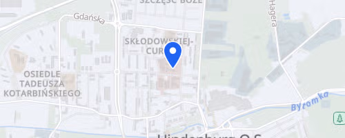 Zabrzański Bieg Dla Serca