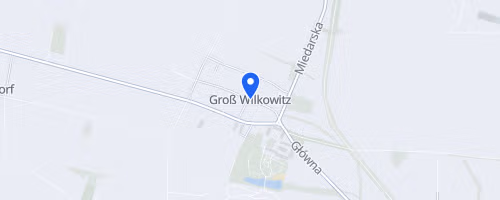 Bieg o Złotą Szyszkę