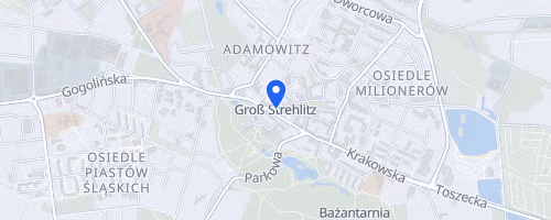 XXXV Strzelecki Bieg Uliczny im. Euzebiusza Ferta