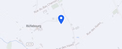 La Tête de Sanglier - Richebourg