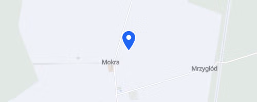 Bieg Pamięci Bitwy Pod Mokrą