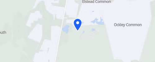 Thursley Common 10km - July