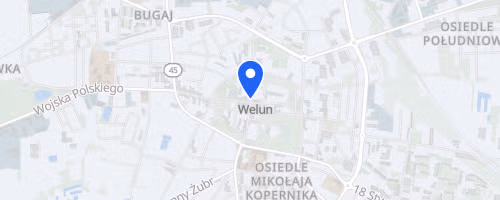 Trzeźwościowy Cross Maraton Wieluń