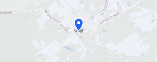 Turfloop Schijf