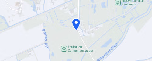 Zoomer Wantijrun Dordrecht