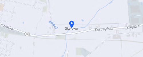 Dziki Bieg W Lesie w Skałowie