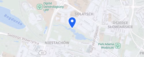 Biegi Poznań