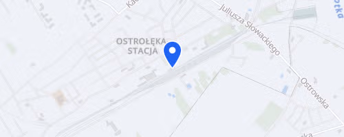 X Bieg Kolejarza