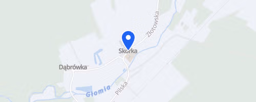 Bieg Przeszkodowy Skórkowaniec