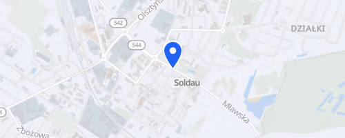 Urodzinowy Festiwal Biegowy Dzialdowo 2025