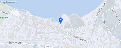 The Funen Challenge - The self-governing institution H. C. Andersen Marathon
