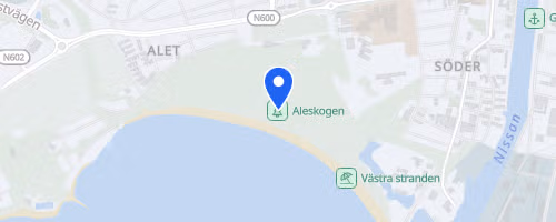Vårruset