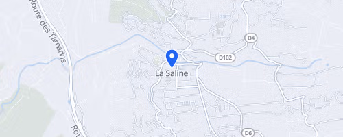 Foulée De La Cote Ouest - La Saline