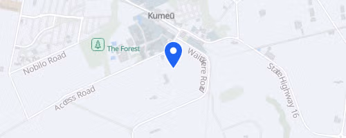 Family Tough Guy and Gal Challenge: West Auckland