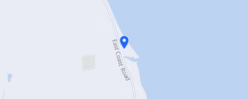 Shorebird Coast Run