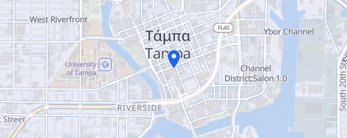 Tunnel to Towers Climb - Tampa, FL