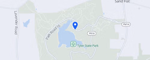 Dead Night Pines Trail Run