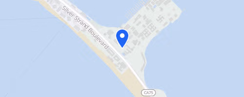The Navy's 38th Bay Bridge Run/Walk