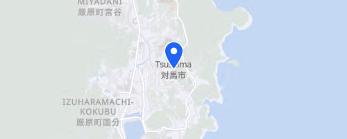 第30回国境マラソンIN対馬