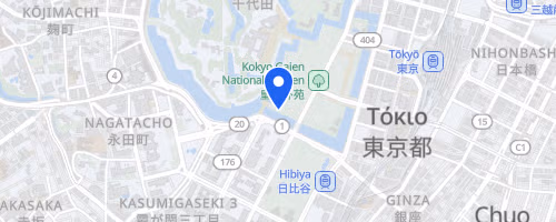 第238回UP RUN皇居マラソン◎計測タグ有◎