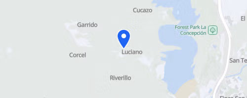 Ponle Freno Málaga 5k