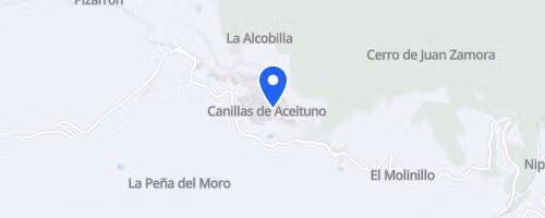 Carrera Urbana El Saltillo