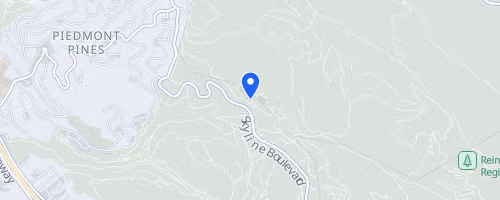 Redwood (Spring) Trail Run