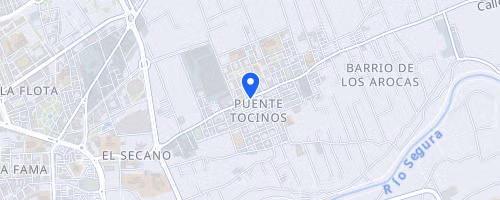 Legua Huertana Puente Tocinos