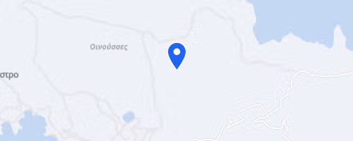 2ο Oinousses Run