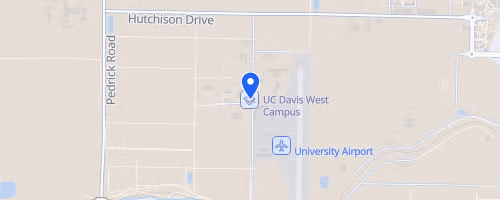 Davis Turkey Trot