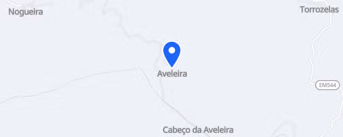 Caminhada em Movimento