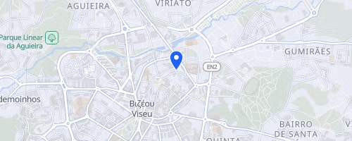 Semi-Marathon de Viseu