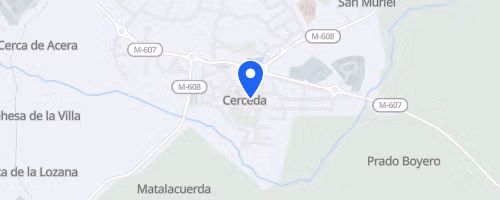 Carrera de la Mujer contra la Violencia de Género