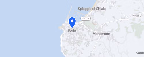 XXI^ Forio In Corsa