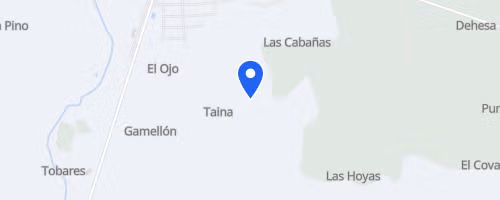 Marcha Solidaria Down Guadalajara