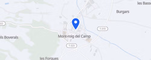 Cursa dels Nassos