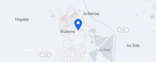 Cursa de les Dones Ruidom