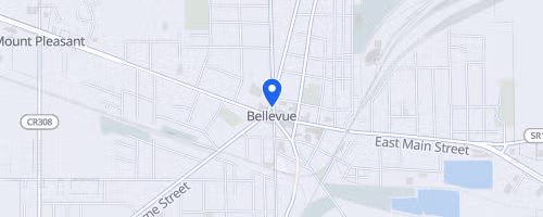 Bellevue 5k